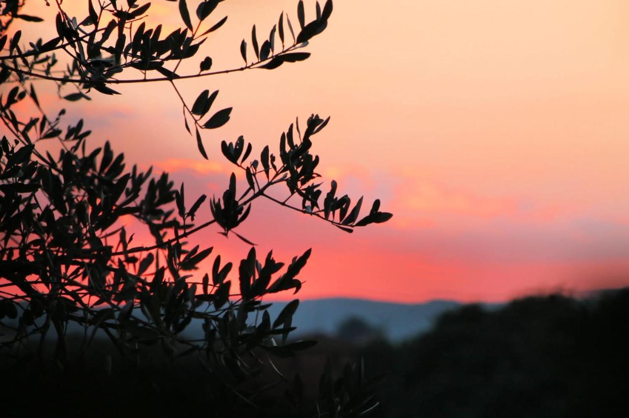 La Bandita Country Hotel Bettolle Εξωτερικό φωτογραφία